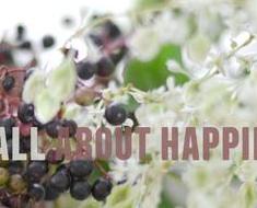 wallpaper-1689754