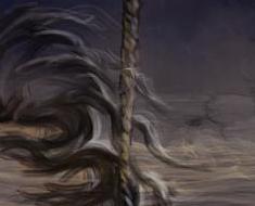 wallpaper-1689754