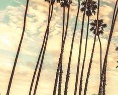 wallpaper-1689754