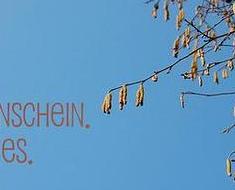 wallpaper-1689754