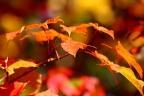 wallpaper-1689754