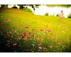 wallpaper-1689754