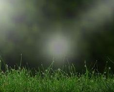 wallpaper-1689754