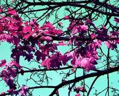 wallpaper-1689754