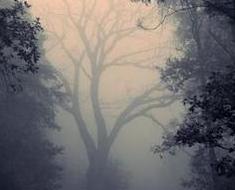 wallpaper-1689754