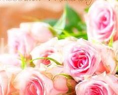 wallpaper-1689754