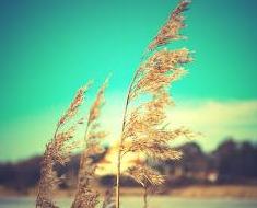 wallpaper-1689754