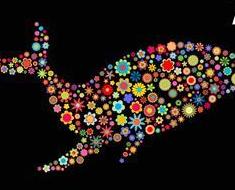 wallpaper-1689754