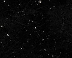wallpaper-1689754