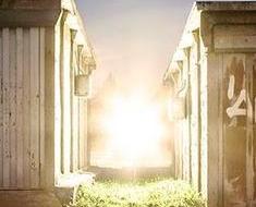wallpaper-1689754