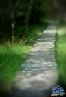 wallpaper-1689754