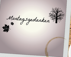 wallpaper-1689754