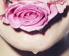 wallpaper-1689754