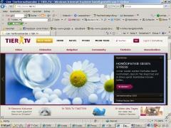 Tierfilme bei "TIER.TV"