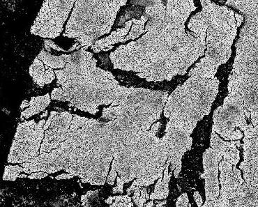 Übergangenes – Pariser Zebrastreifen in Frankfurt