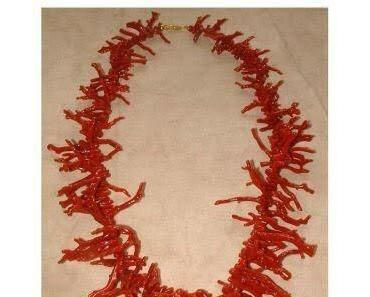 Apropos Koralle.....mein neues Lieblingsthema