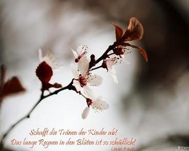 wallpaper-1689754