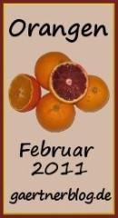 Orangensirup mit Basilikum