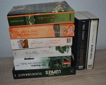 Leidest du auch an einer Büchersucht?