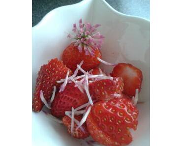 Dreierlei Erdbeer-Variationen Teil II