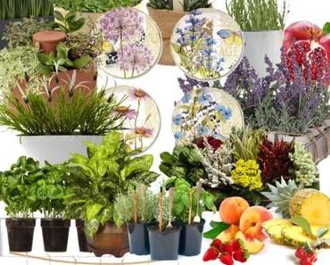 Blömschkens über Blömschkens.