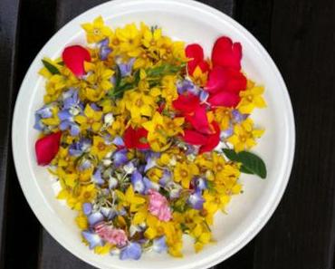 Blogblüten und Coole Blogbeiträge der Woche 23/15