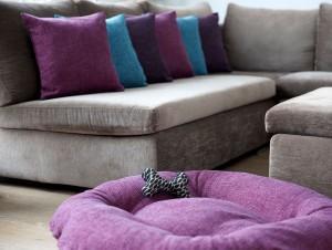 biine ist auf den Hund gekommen