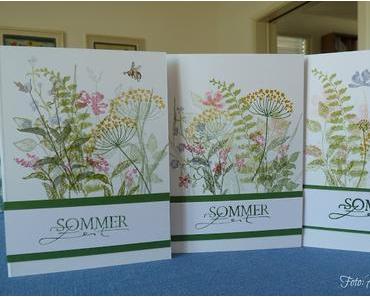 Karte Sommerwiese - drei Ergebnisse