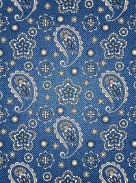 Was ist ein Paisley-Muster?