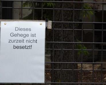 FLASHBACK KIRCHENTAG 2015