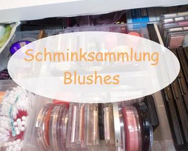 Schminksammlung Part3- Blushes ink. Swatches ♥