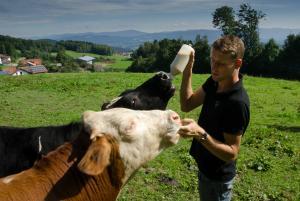 3 Fragen an Felix vom Erdlingslauf