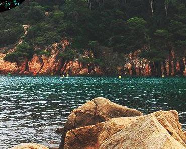 wallpaper-1689754