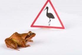 Der Feind in unserem Kopf – Kreativität auf Knopfdruck