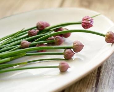 Schnittlauch Blüten – Blumen zum Essen