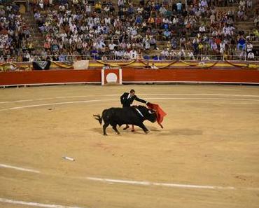 Quo vadis corrida?