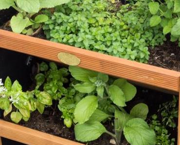 Backofengemüse mit Kräuterquark oder ein Kräutermax für meinen Balkon