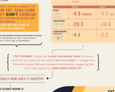 Warum bin ich dick?!