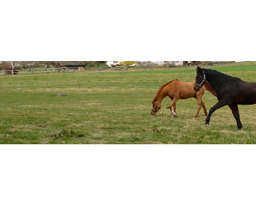 Vom Umgang mit sich und anderen