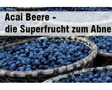Acai Beere – die Superfrucht aus Südamerika zum Abnehmen
