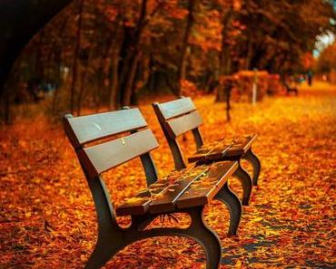 Der Herbst ist da und mit ihm die Farbe des Jahres