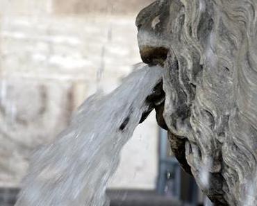 .weil ich ihn liebe | kölle is e jeföhl