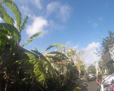 LIFE: Only in Bali... #1