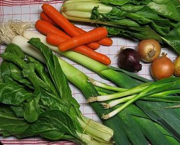 “SOS…” Entgiftungstag  5