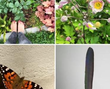 Das war der August {according to my Instagram pictures}