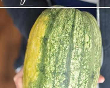 Spaghettikürbis alla Carbonara