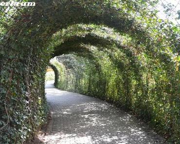 Bubenheimer Spieleland  Teil3