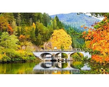 Goldener Herbst im Mariazellerland – Fotos Hans Pfeffer