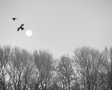 wallpaper-1689754