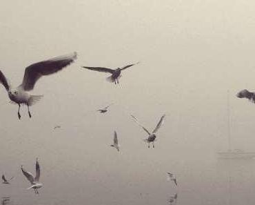 wallpaper-1689754